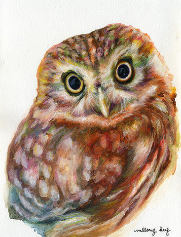 Ina May Owlet Watercolor Print, Large